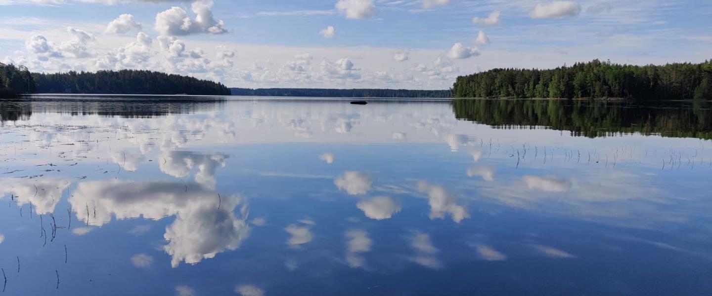 Narvijärvi
