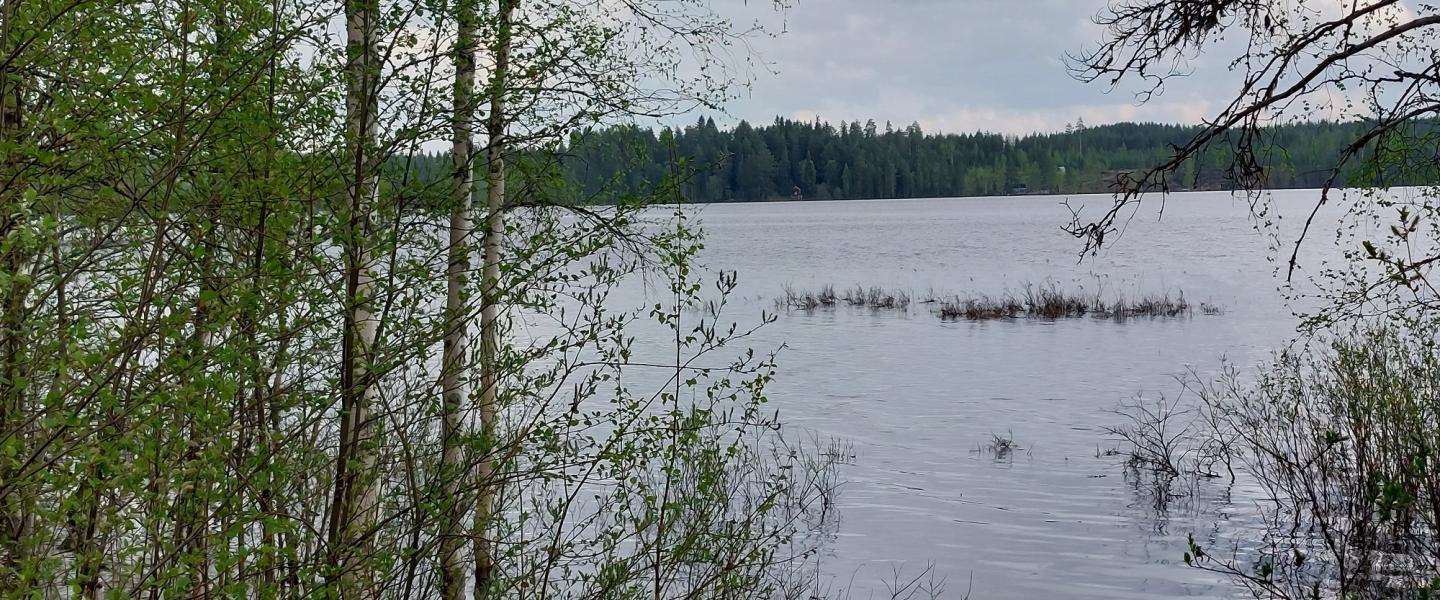 Rantaonginta Kuhmo