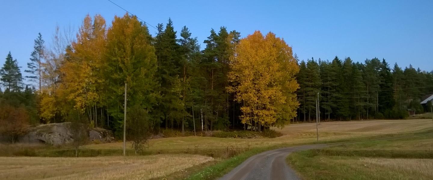syksyinen tie