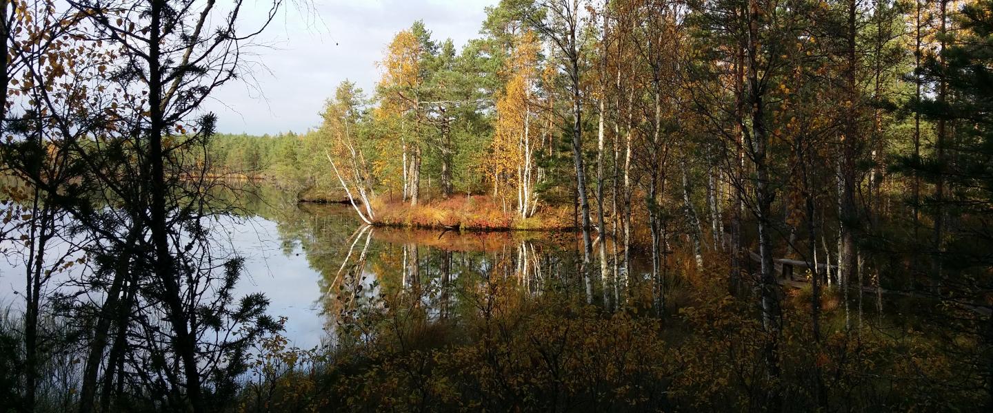 luonto syksyllä
