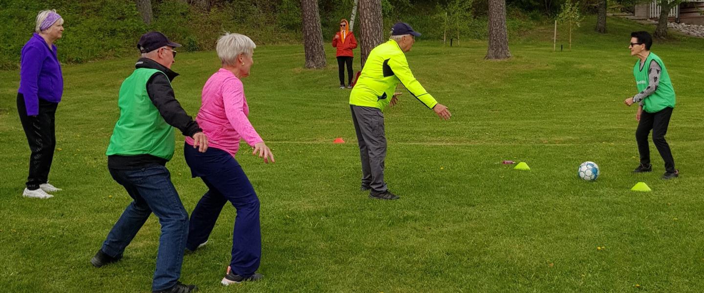 Lajit tutuksi kävelyfutis