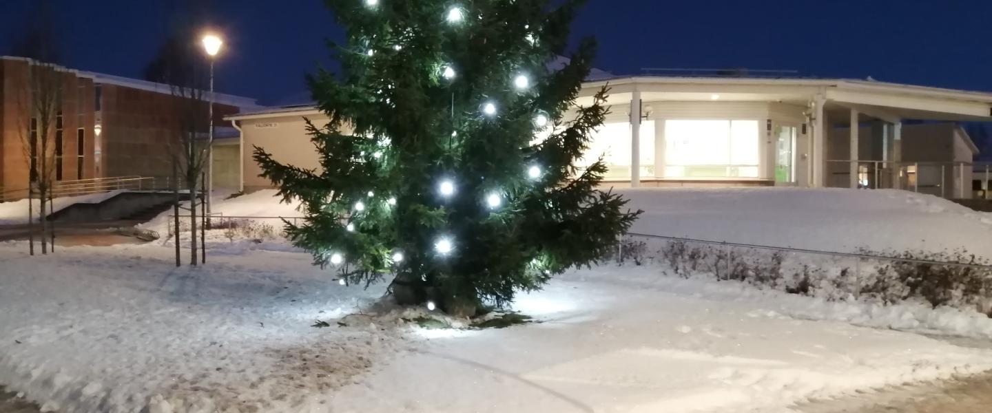 Joulua odotellessa Nivalaan