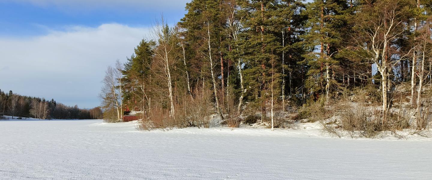 Talvi Kyrösjärvellä 2024