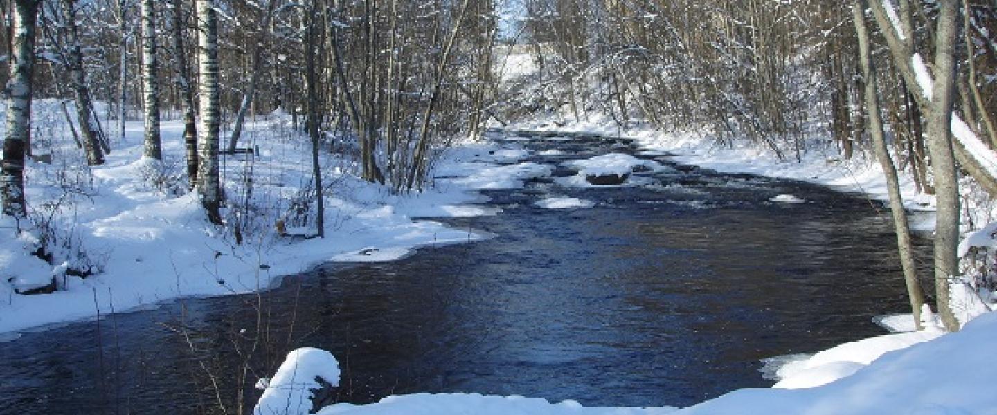 Muuramejoki_Keski-Suomen_ELY_muokattu