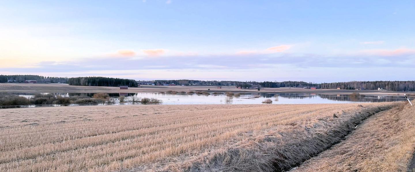 Loimijoki tulvii Vaulammilla 2024