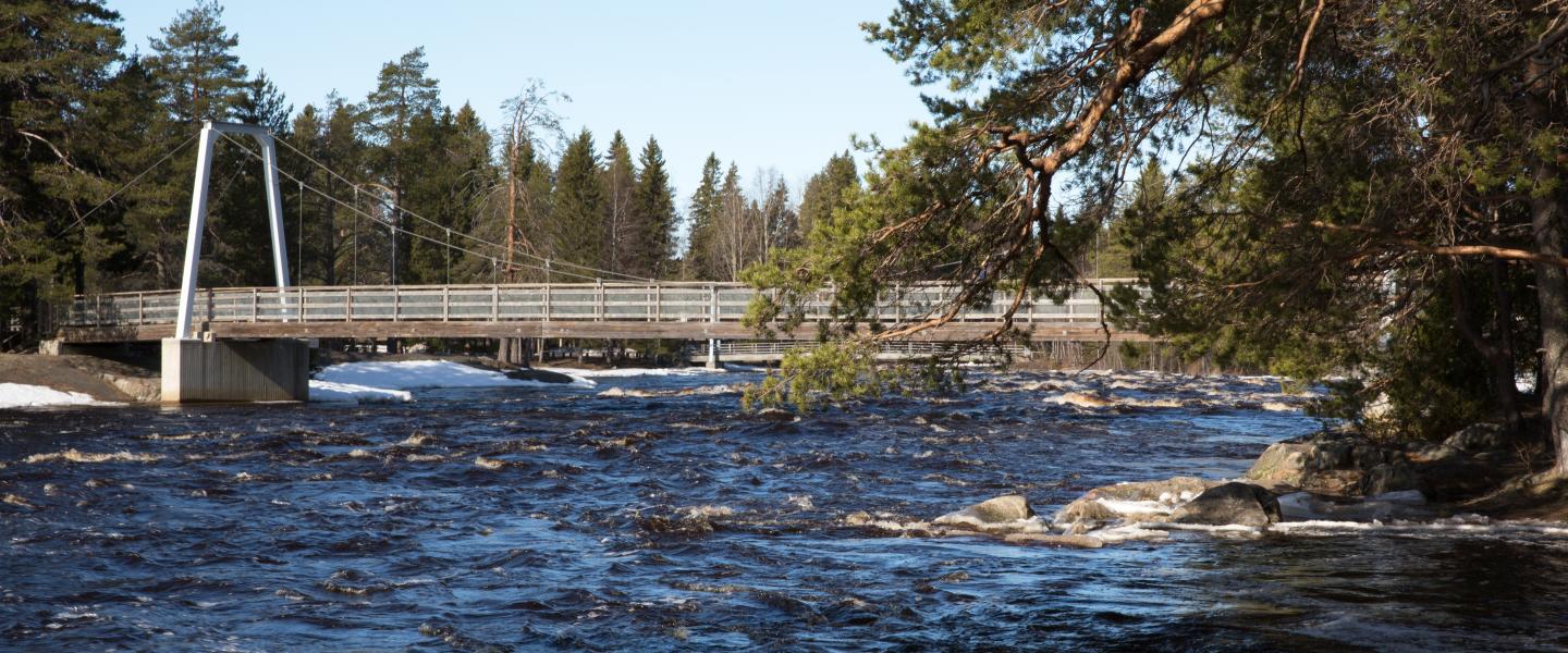 Kiiminki Koitelin silta