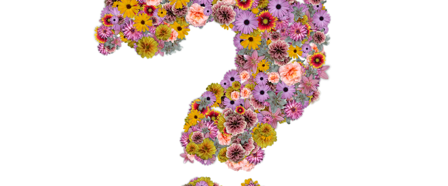 kysymys