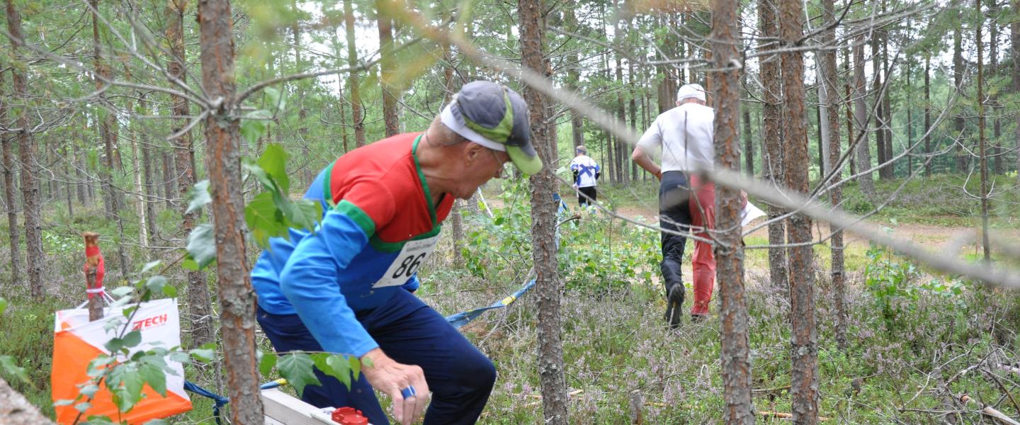 suunnistajia metsässä
