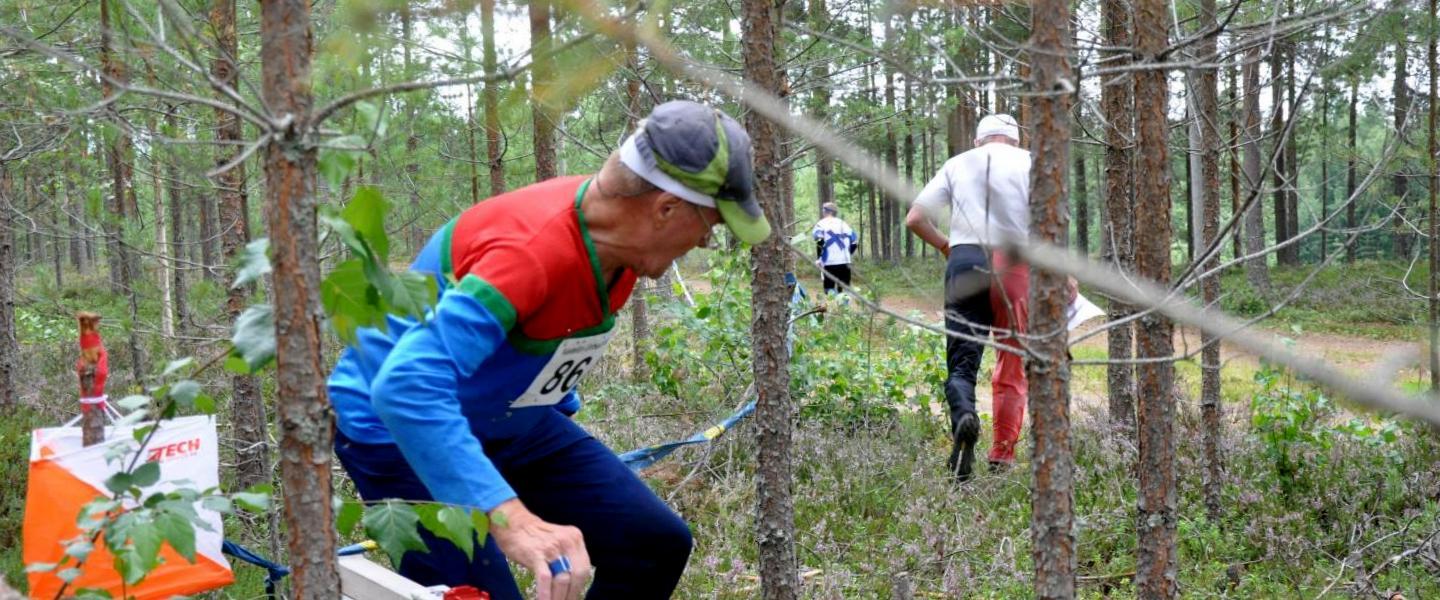 Suunnistajia metsässä