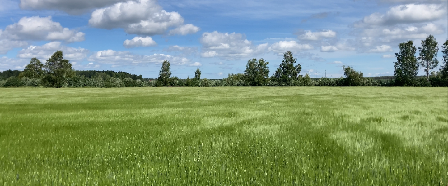 heilimöi