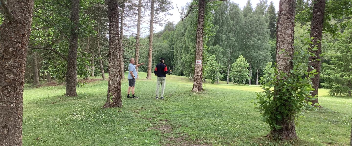 Frisbeegolf kenttä, Epilä