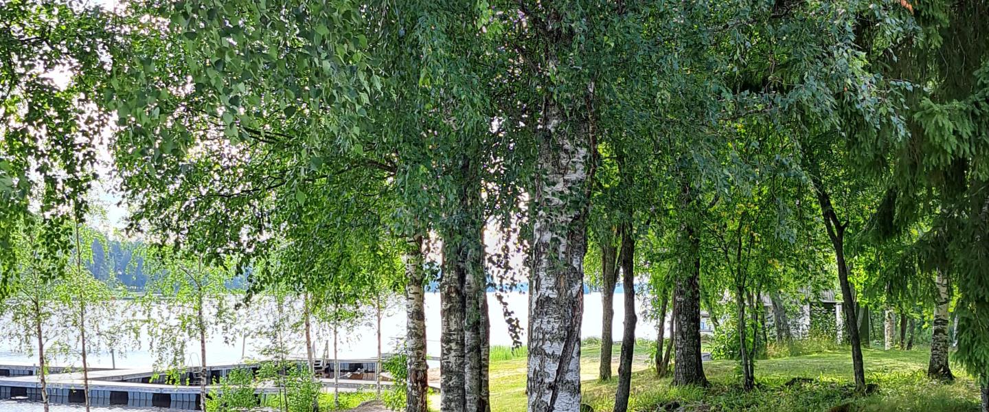 Rantakalakeitto Vesannolla