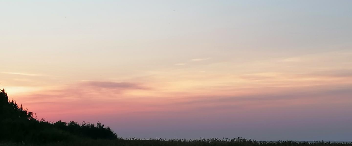 SaloAuringonlasku