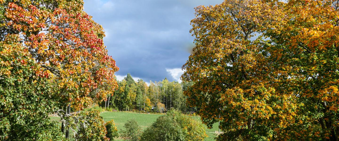 Syksy9.10.2024