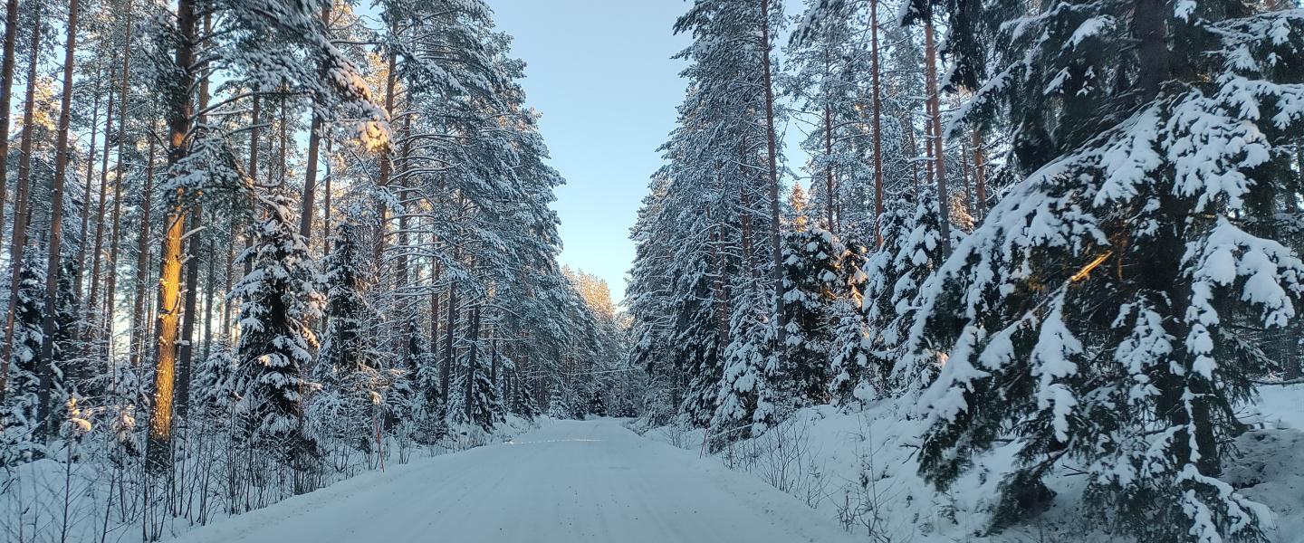 Talvi 2024 Nousiainen