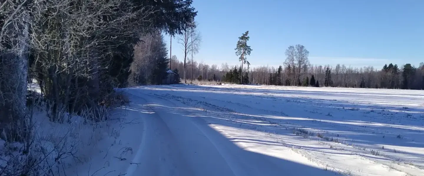 talvimaisema_tammela