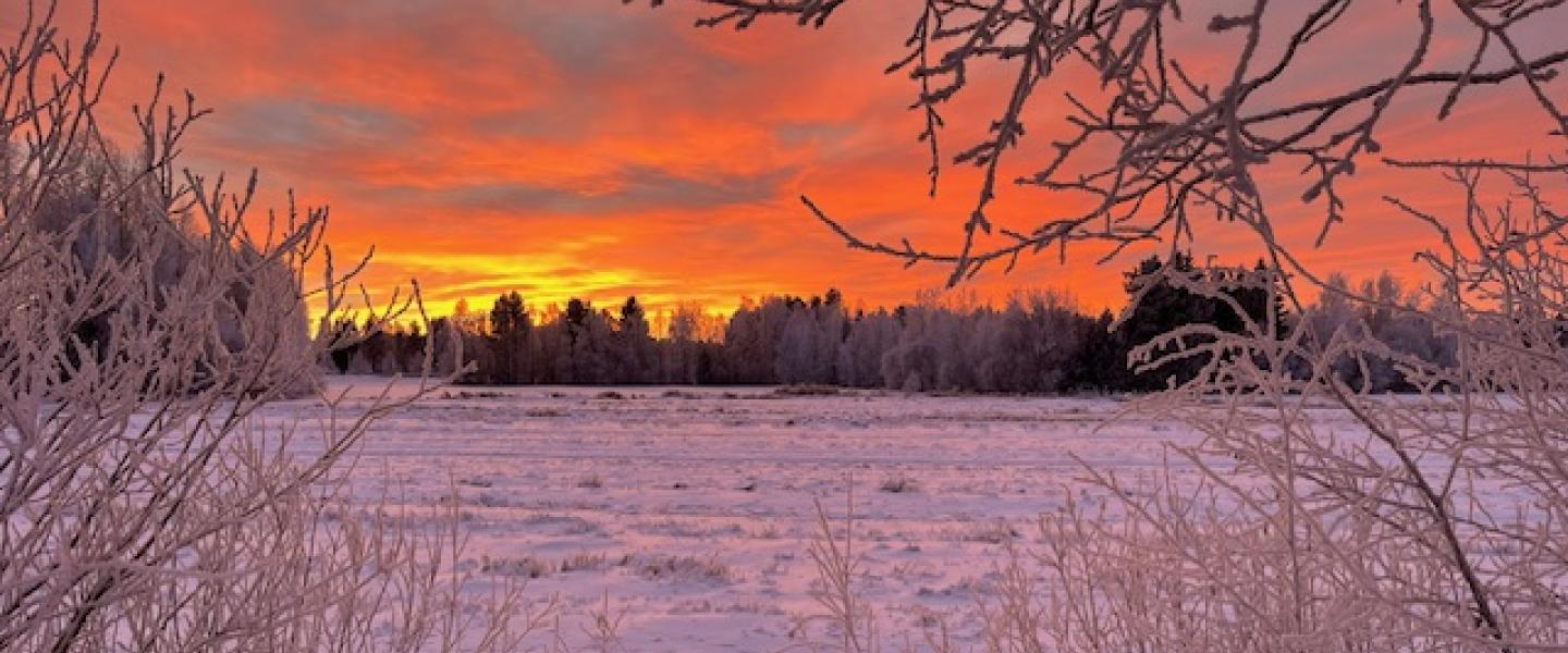Oranssinpunainen taivas pellon takana