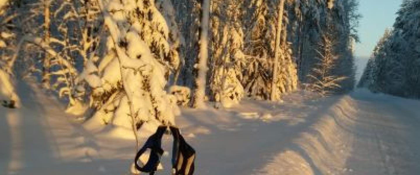 sauvakävelyä/kävelyä 14.02. 3
