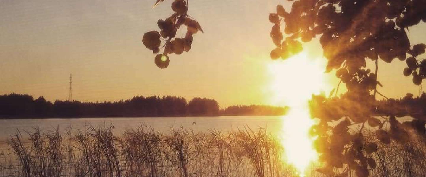 Kesäyön aurinko