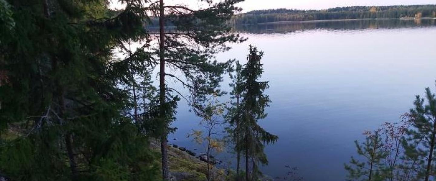 2025 Pappilanniemi