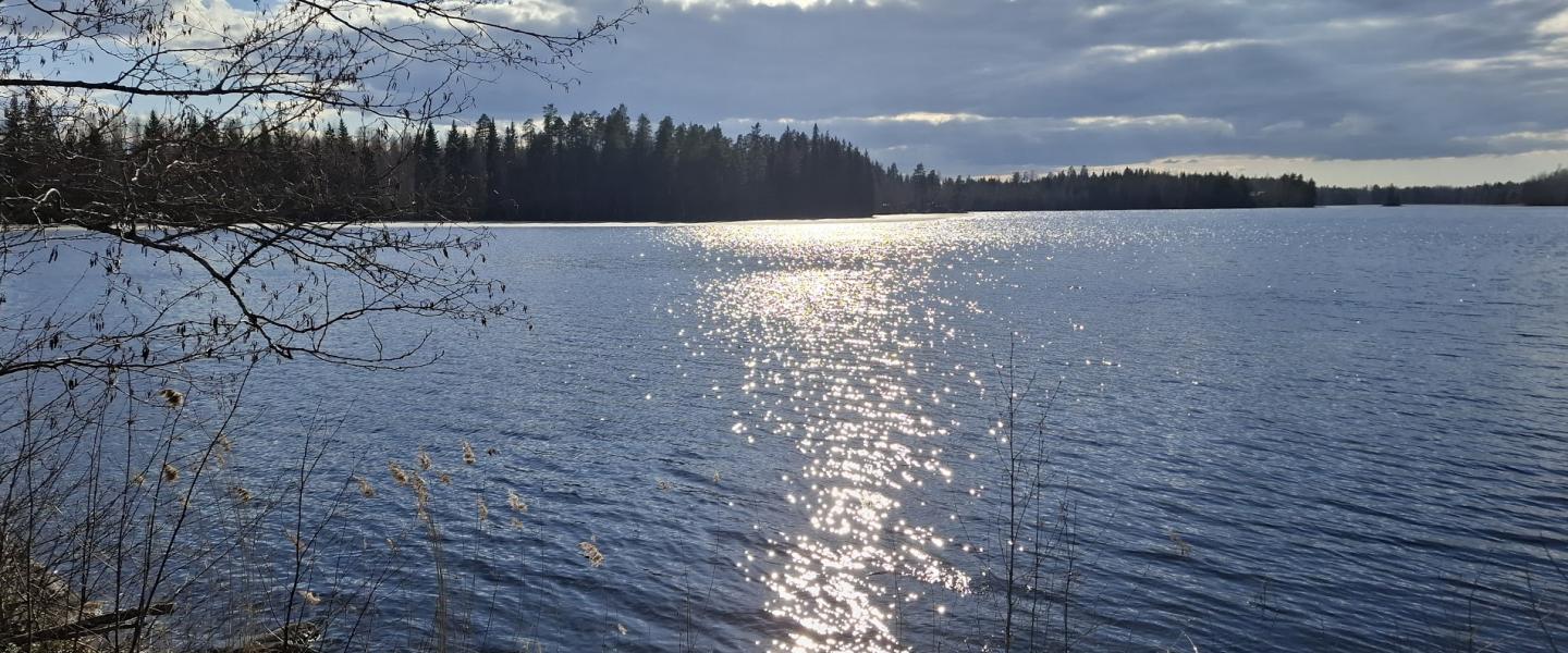 Kevät Jäppilässä