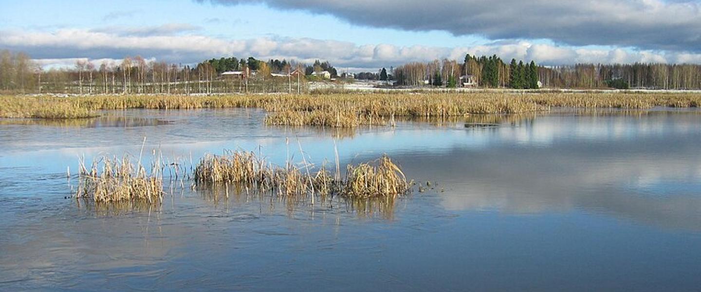 Siikalahti