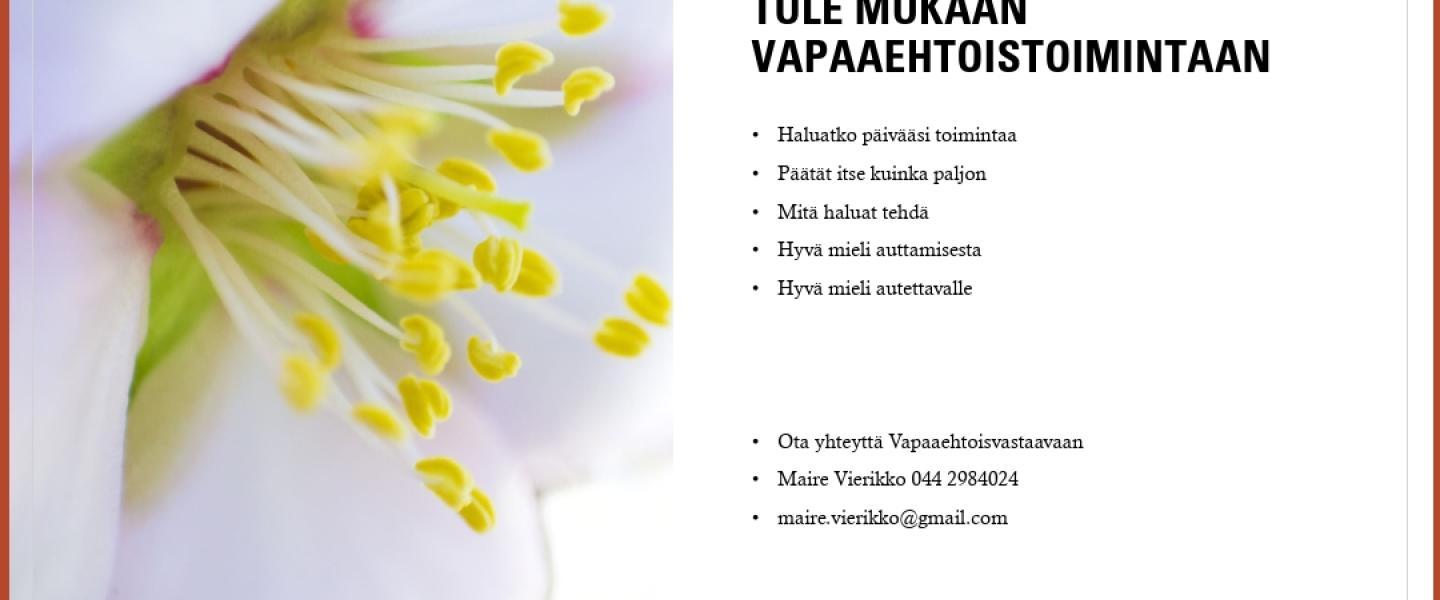 Vapaaehtoiseksi