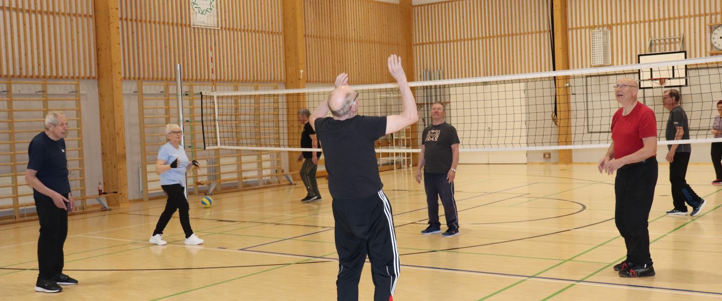 Koski Tl kuntolentopalloa