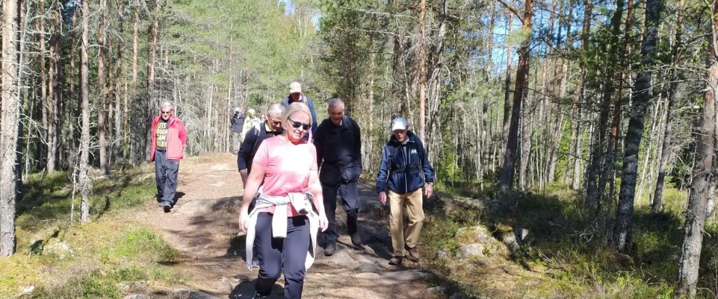 Kaupunkisuunnistus
