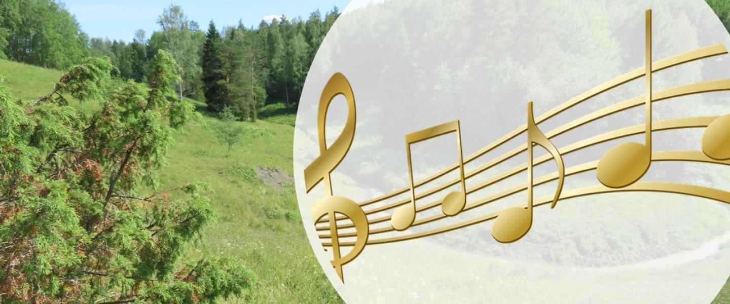 somero_lauluilta häntälä