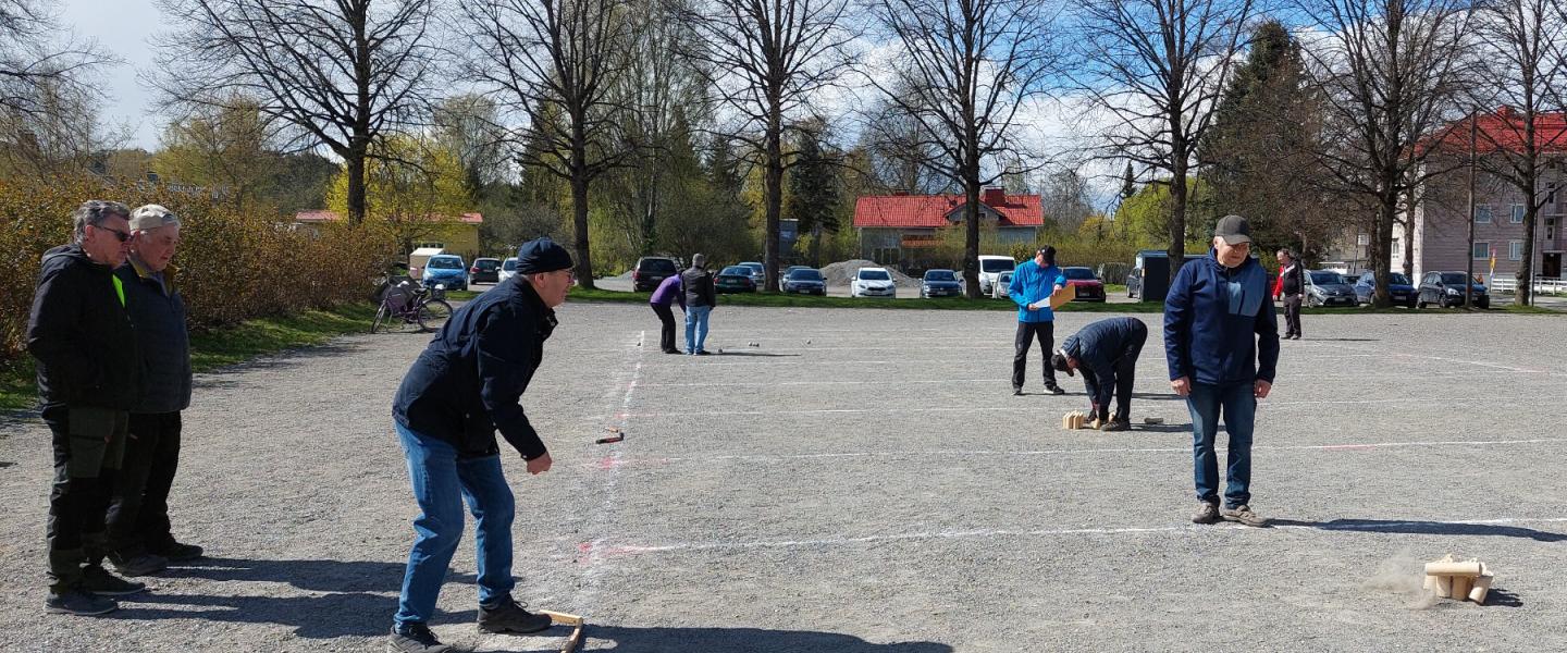 Mölkyn pelaaminen