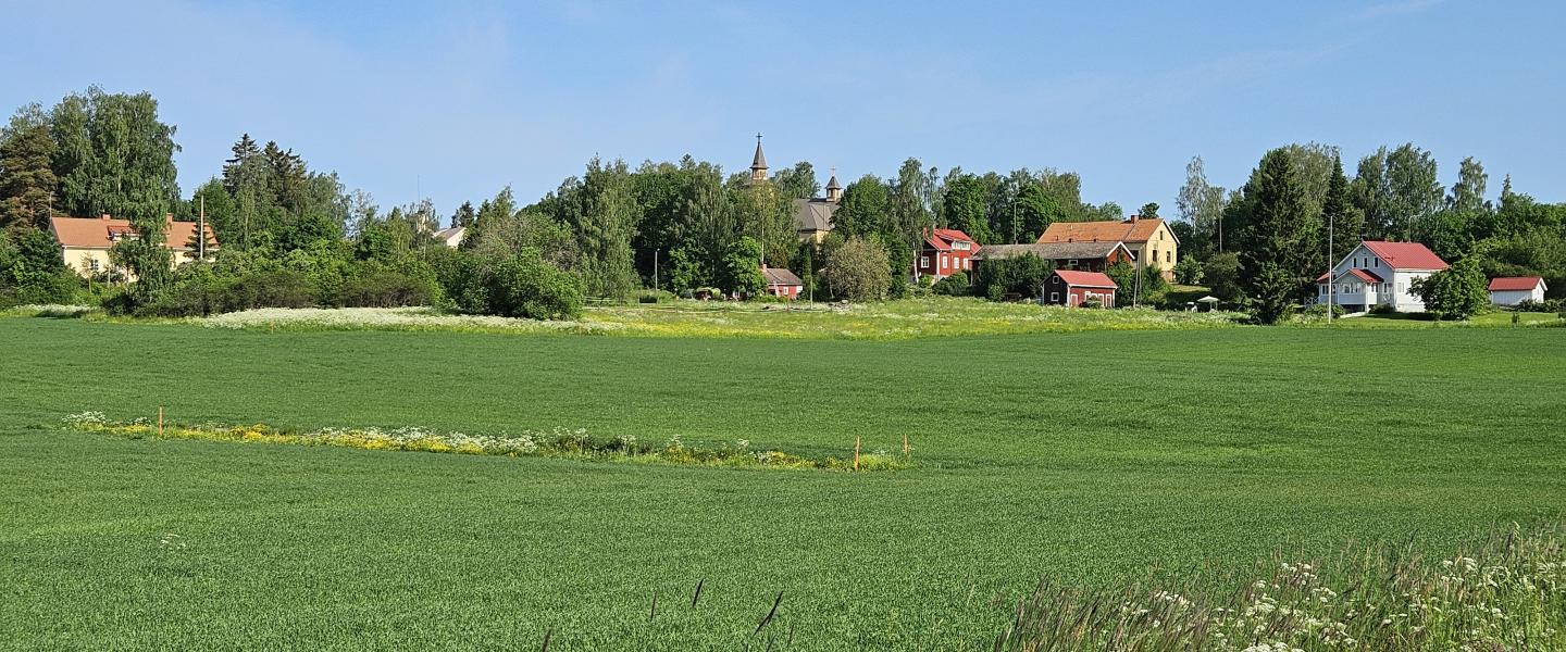 maisema