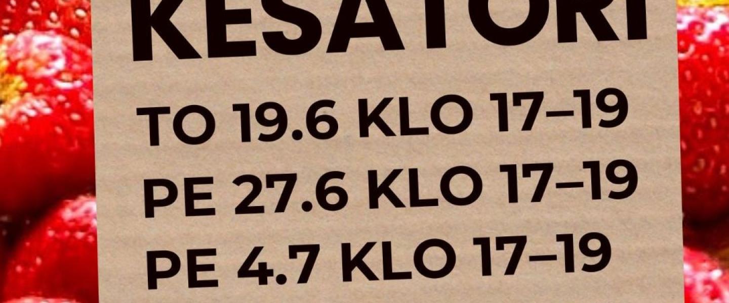 kesätori