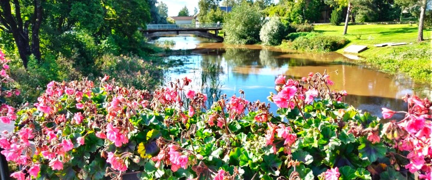 Mki Mynäjoki