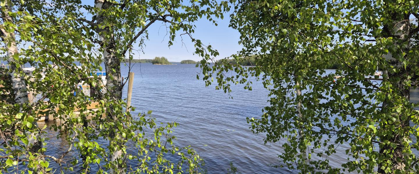 Akaa kesäkuva