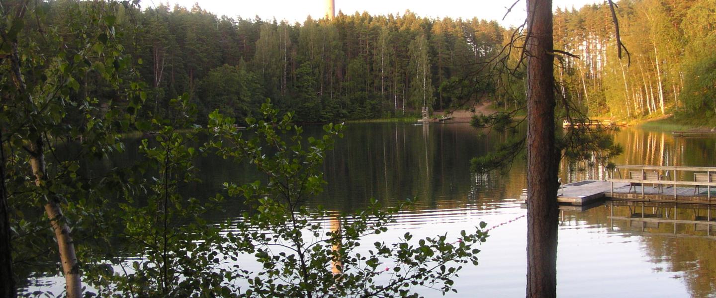 Järvimaisema ja vanha linkkitorni