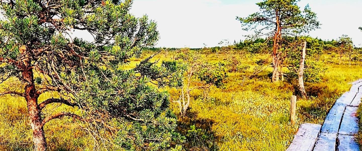 Valkmusan kansallispuisto