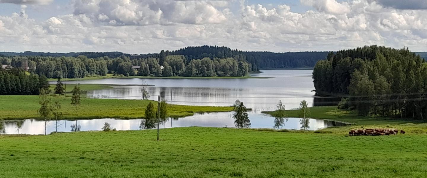 Vieremän Kansallismaisema