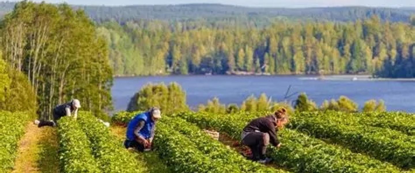 Yrjölän matkatila