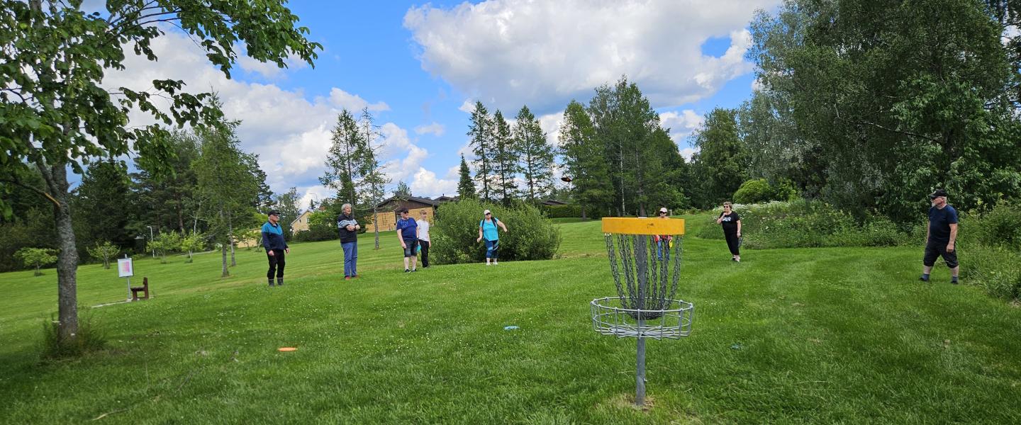 somero_frisbee akustinpuistossa