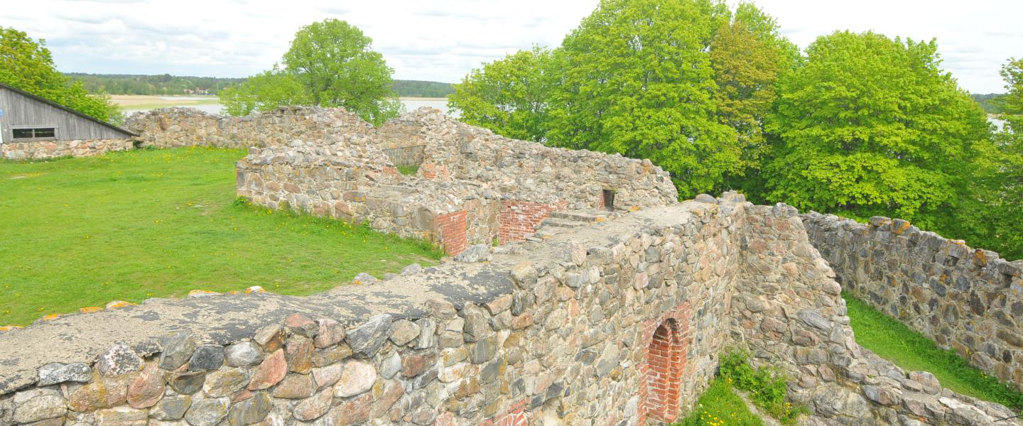 agkuusisto