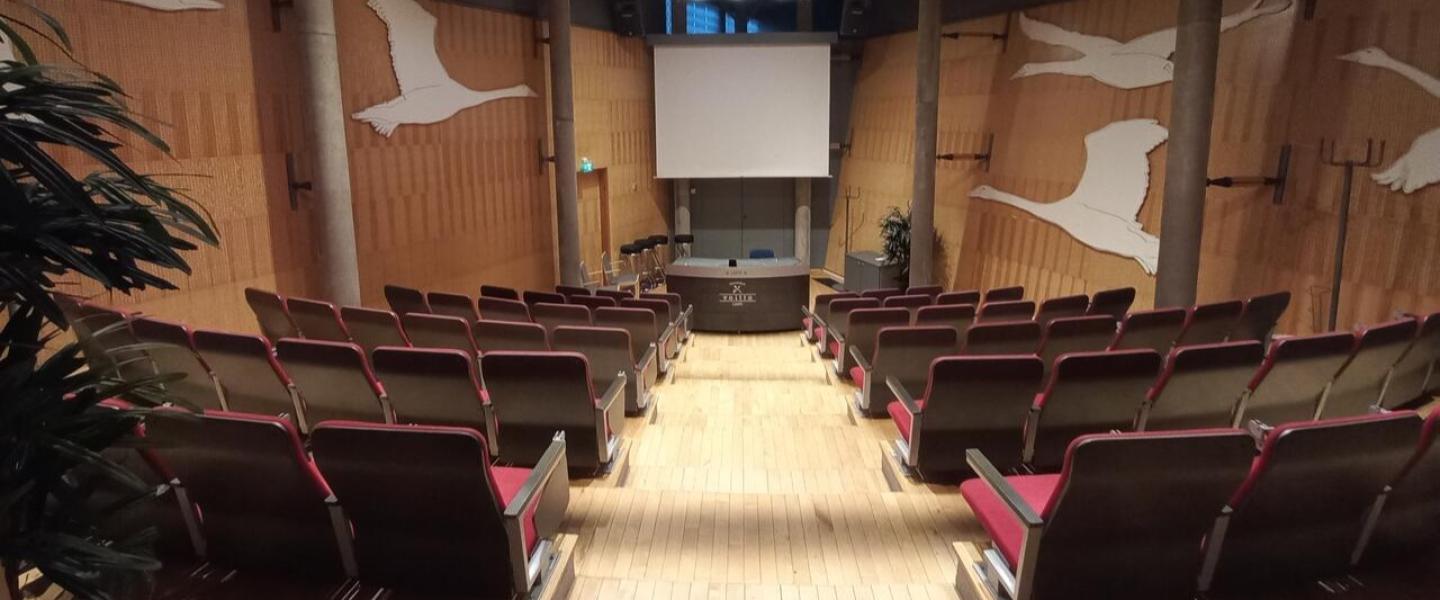 Auditoria Voitto