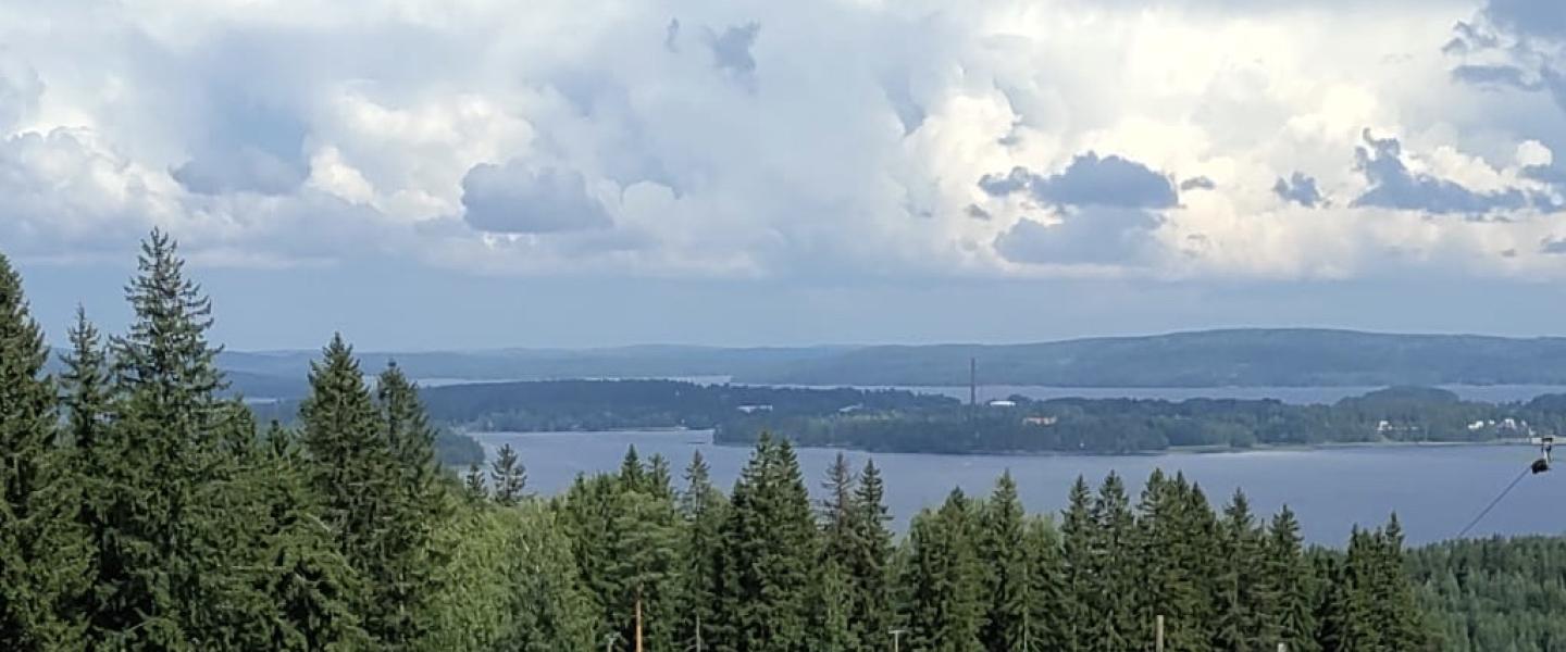 Muurame riihivuori
