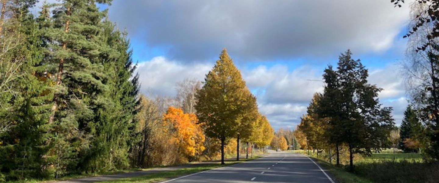 Alastaro_SyksyPappila1