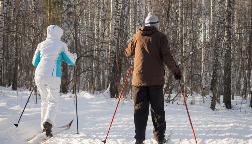 Kaksi hiihtäjää ladulla