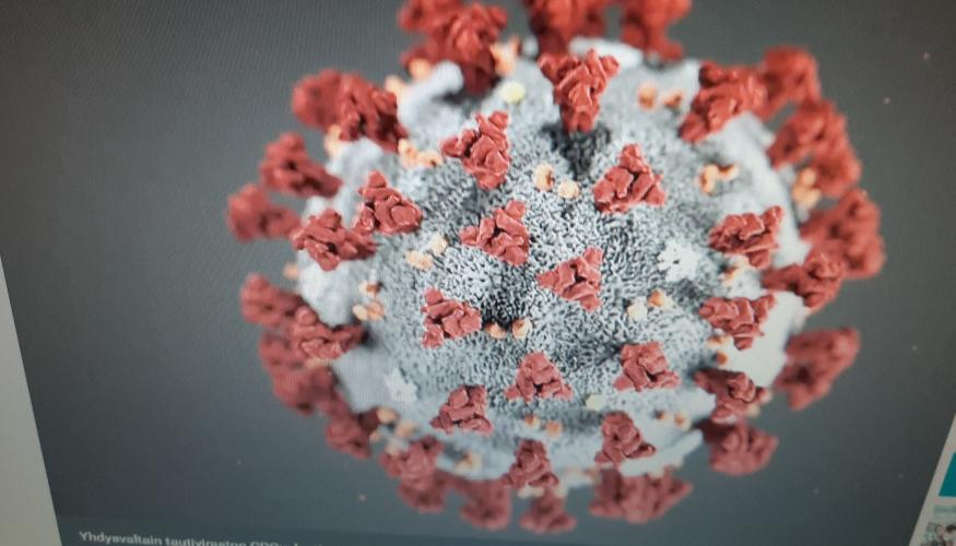 Koronavirus