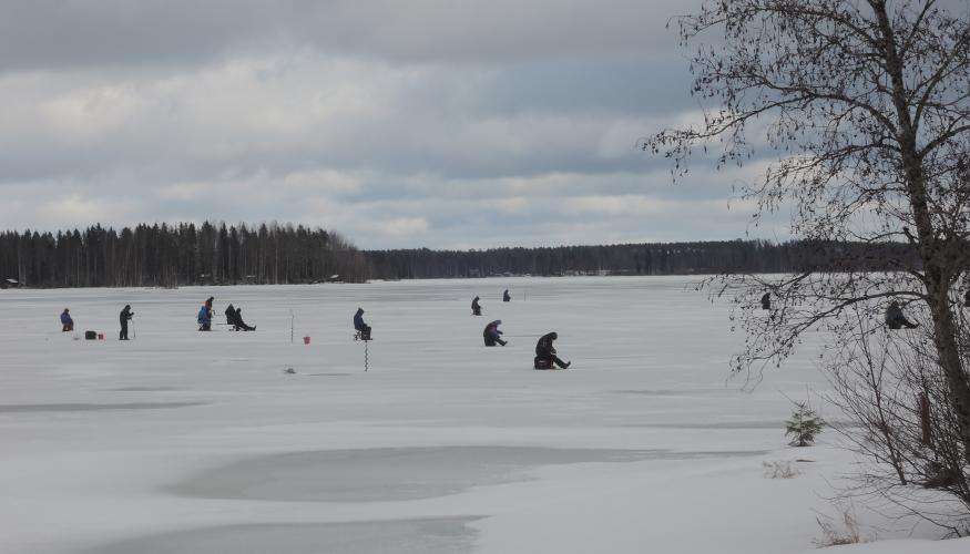 Pilkkijöitä jällä