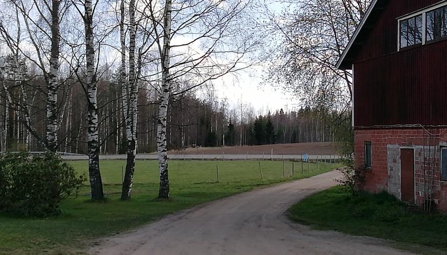 Maatilan kevät