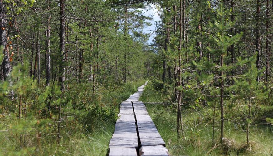 polku