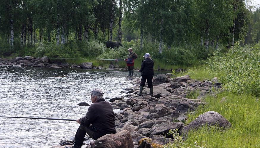 Rantaongintaa Jätkänpuistossa